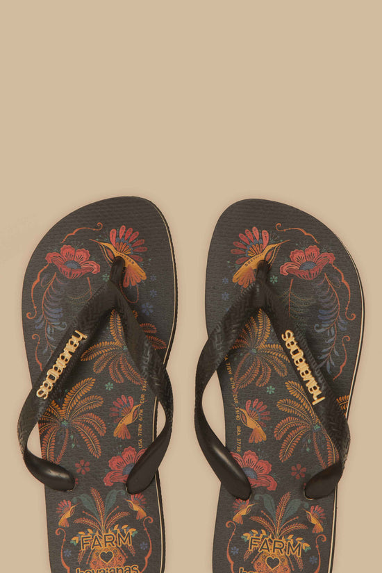 Classic Nature Havaianas