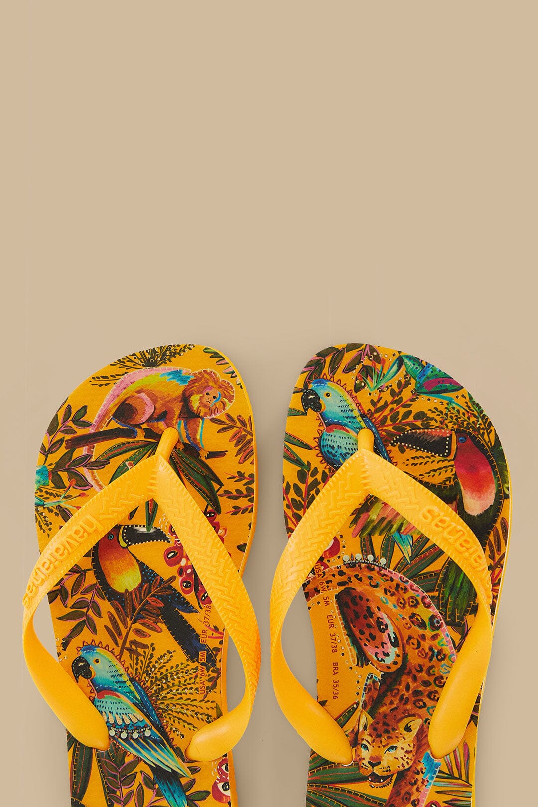 Into The Jungle Havaianas