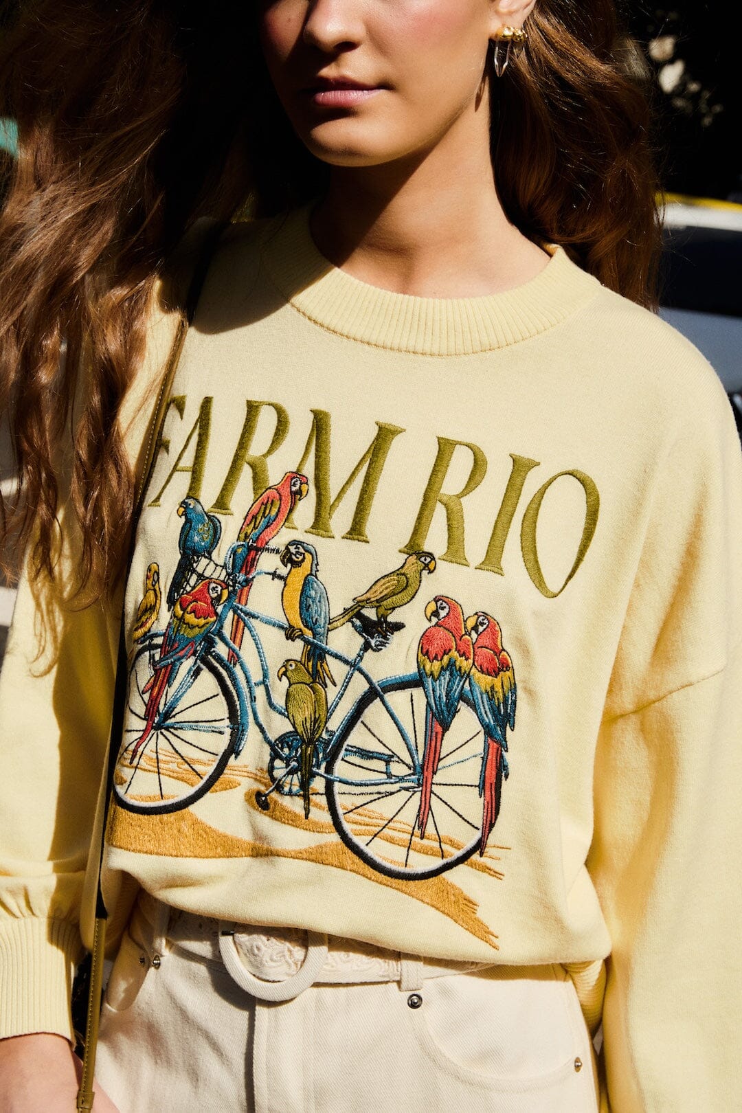 Yellow Birds Bicycle Embroidered Sweater | FARM Rio