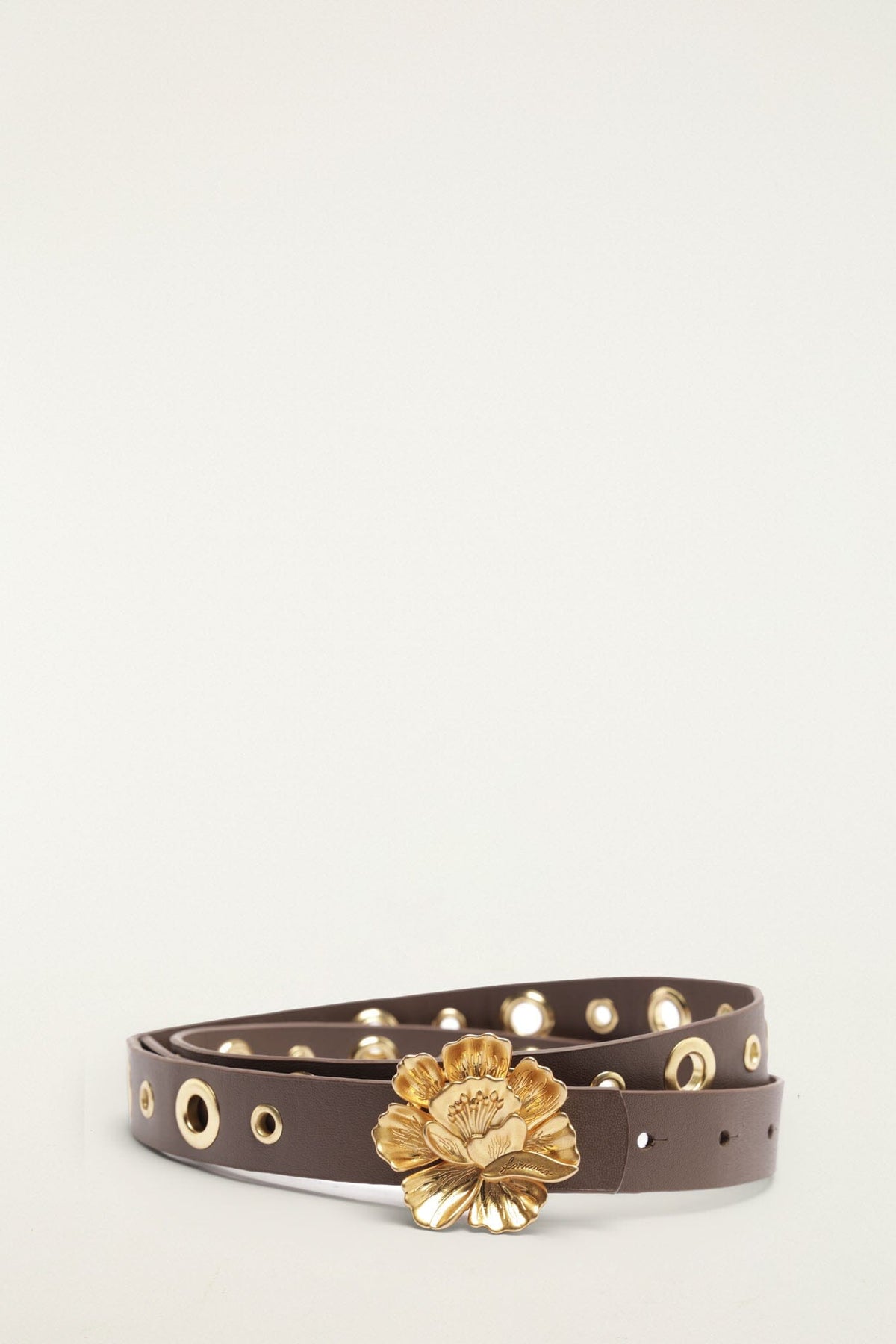 Brown Golden Studded Belt