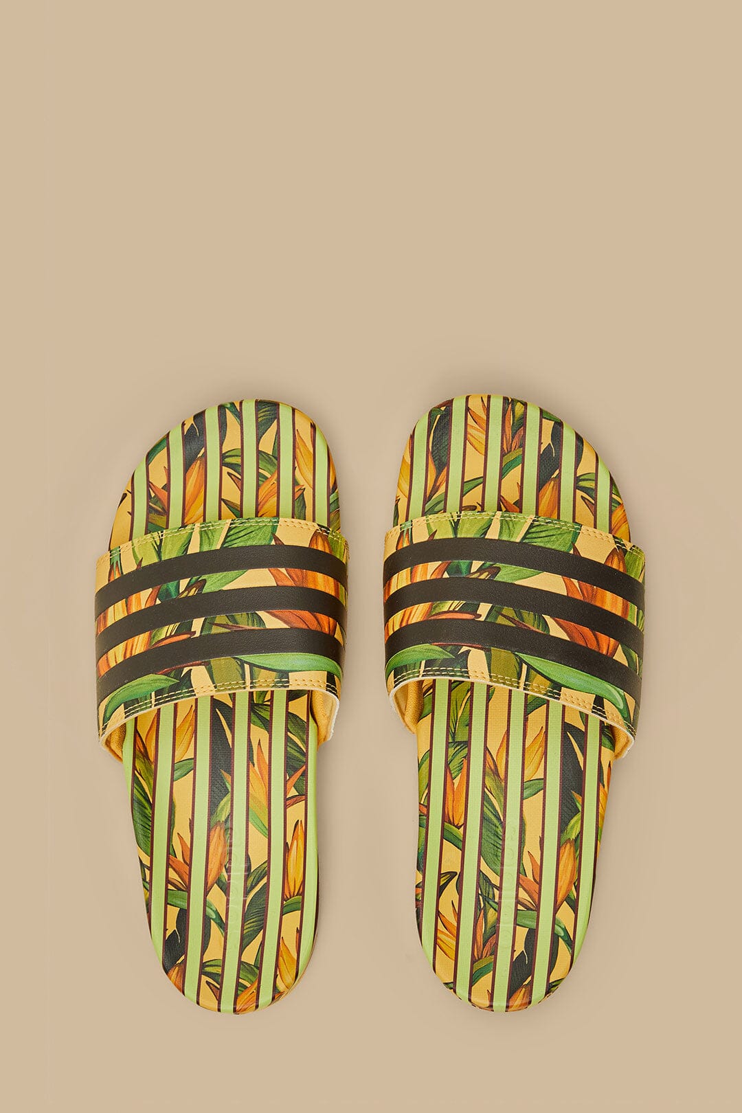 Adidas Adilette Birds Of Paradise Semi Spark