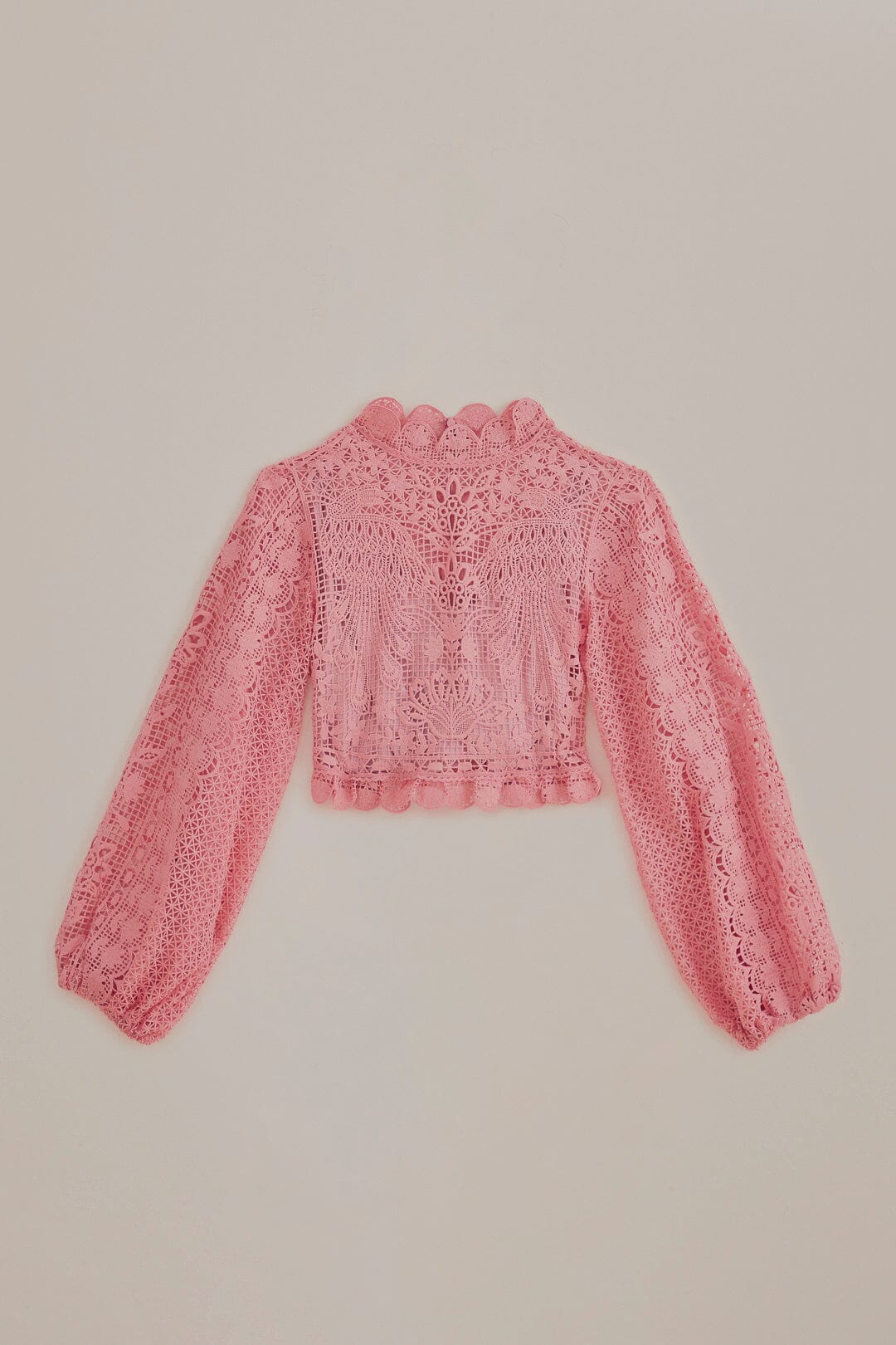 Blush Pink Guipure Long Sleeve Blouse