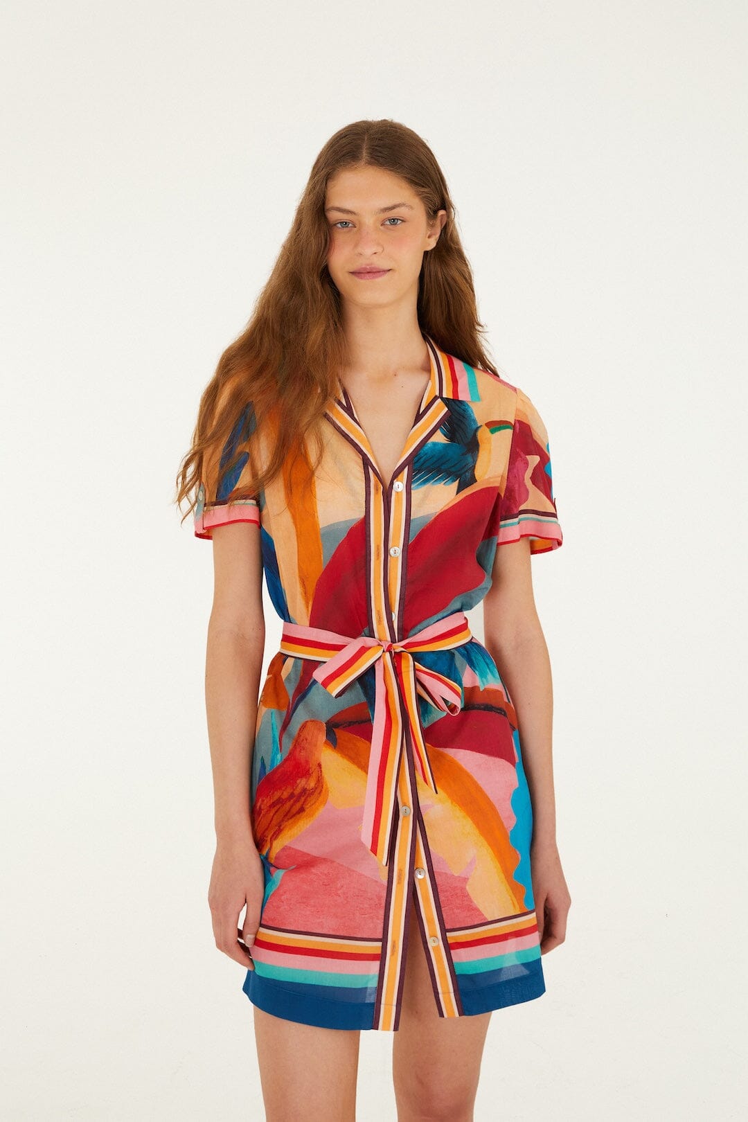 Atlantic Rain Forest Multicolored Mini Dress
