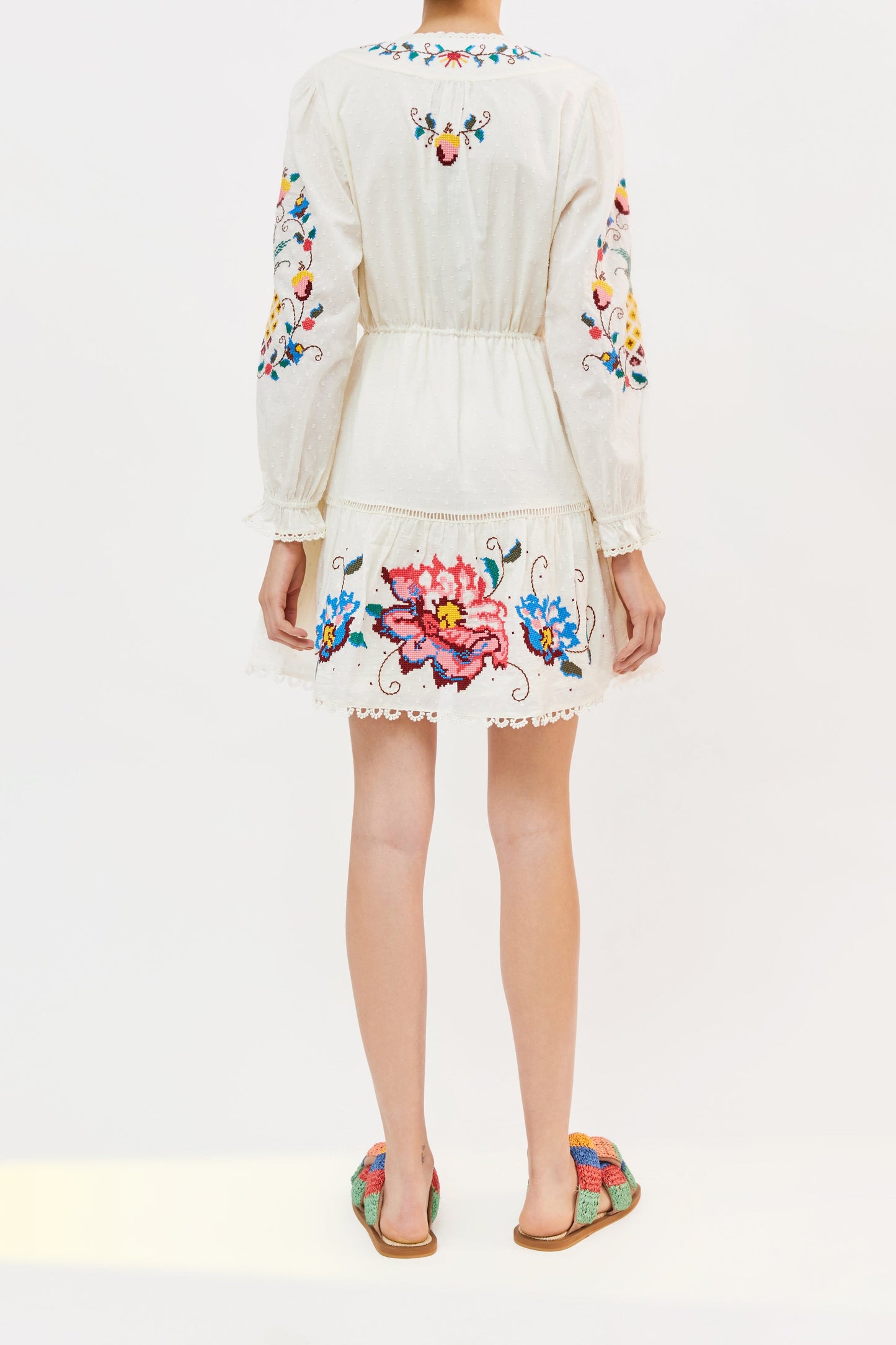 Macaw Cross Stitch Embroidered Mini Dress