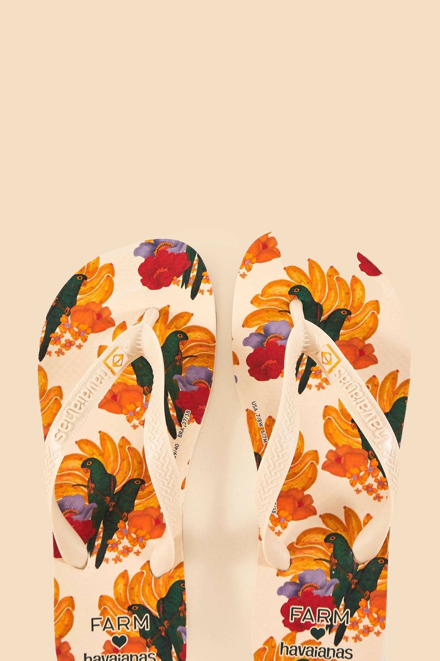 Mixed Pineapple Garden Havaianas Sandals – FARM Rio
