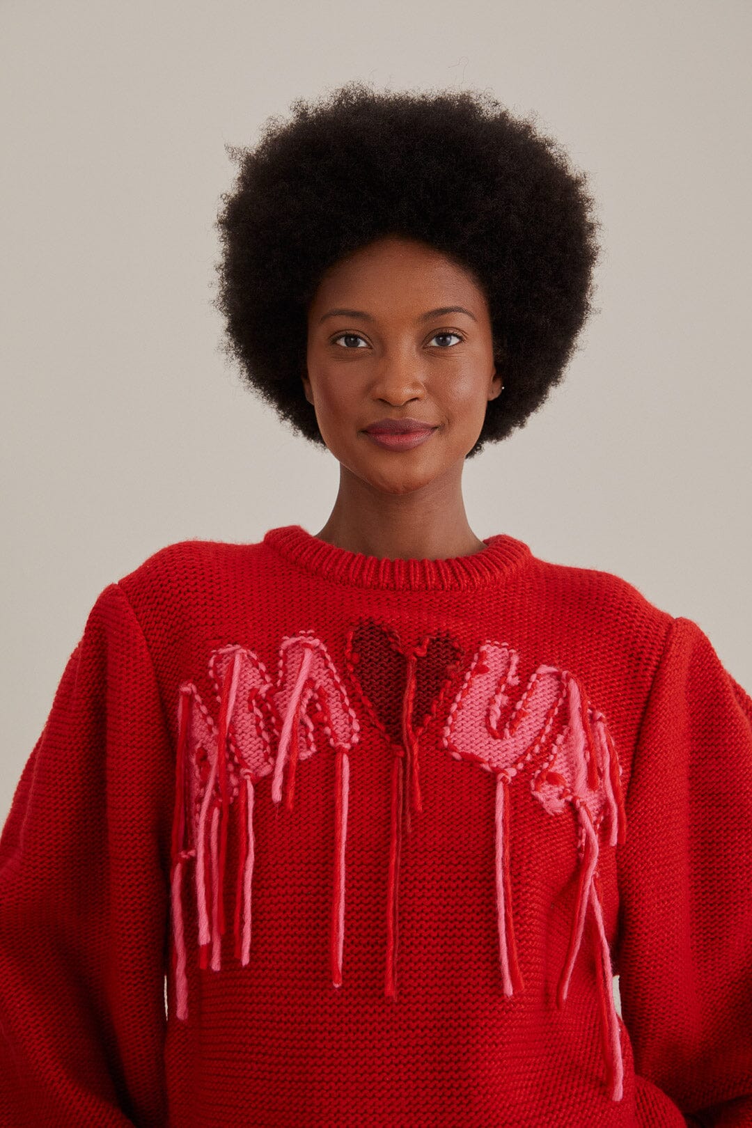 Sweater embroidered sale