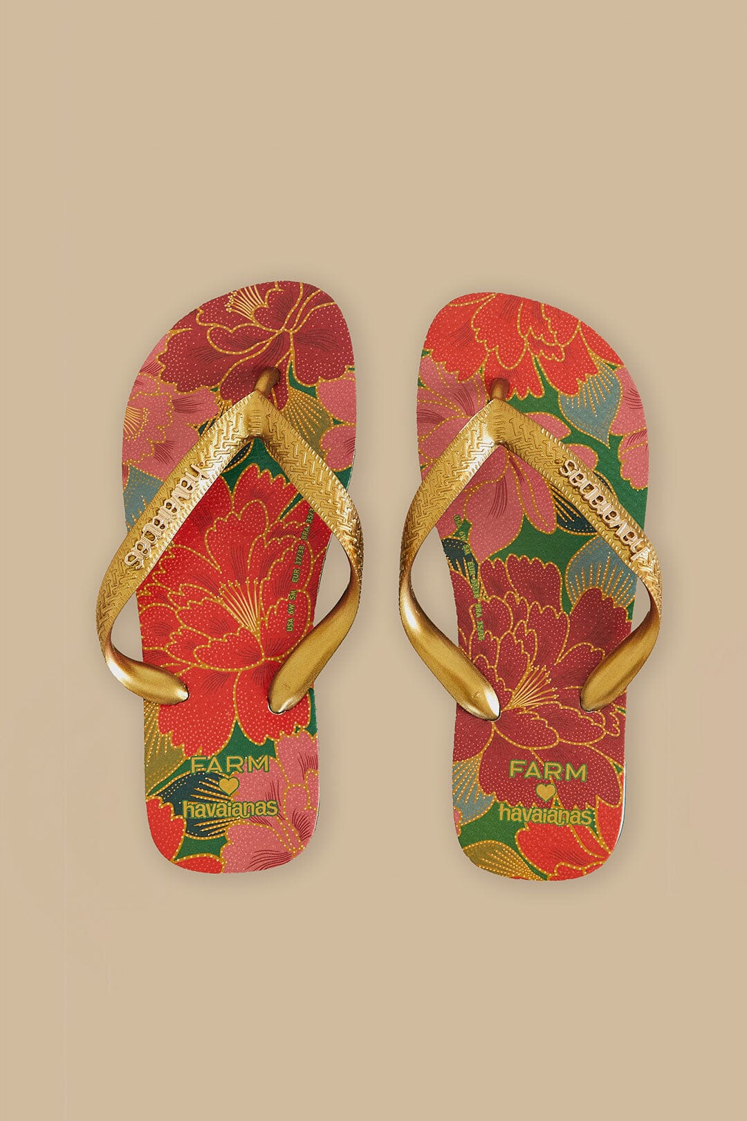 Farm Chita Solar Havaianas Sandals