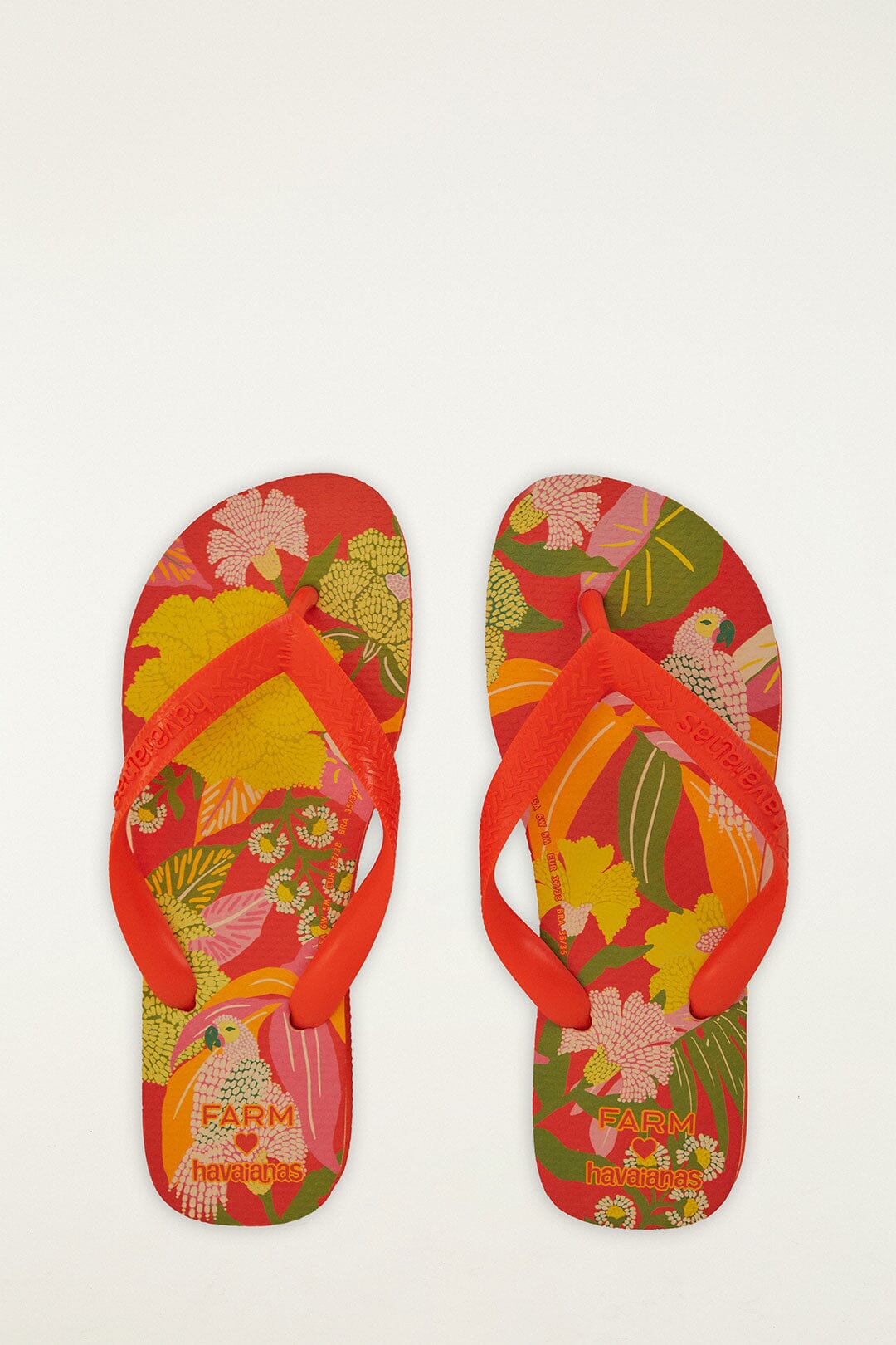 Farm Neon Flor Havaianas Sandals