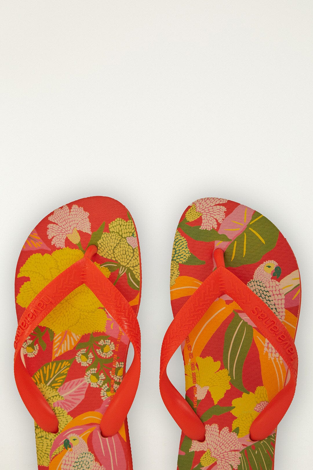 Farm Neon Flor Havaianas Sandals