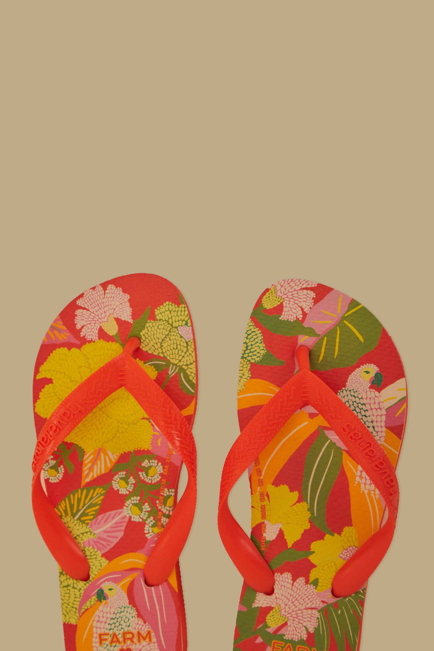 Farm Neon Flor Havaianas Sandals