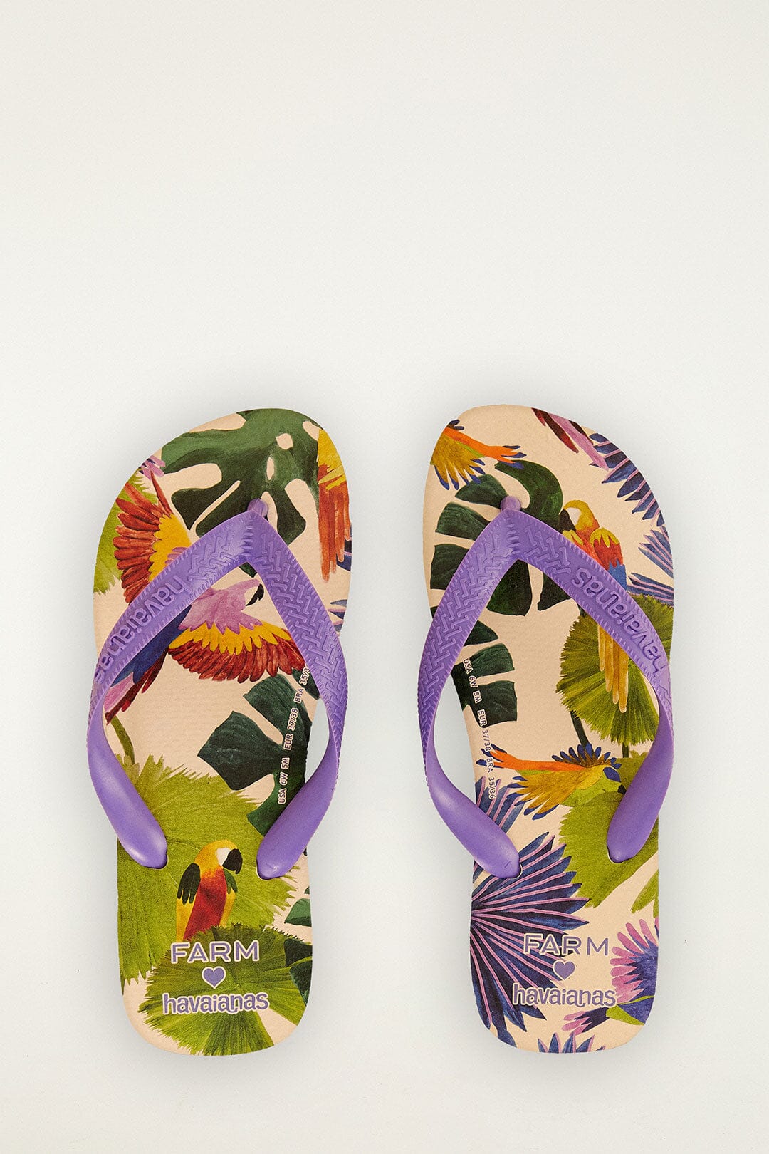 Farm Passaros Pintados Havaianas Sandals