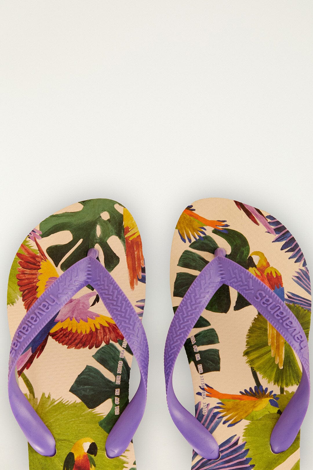 Farm Passaros Pintados Havaianas Sandals