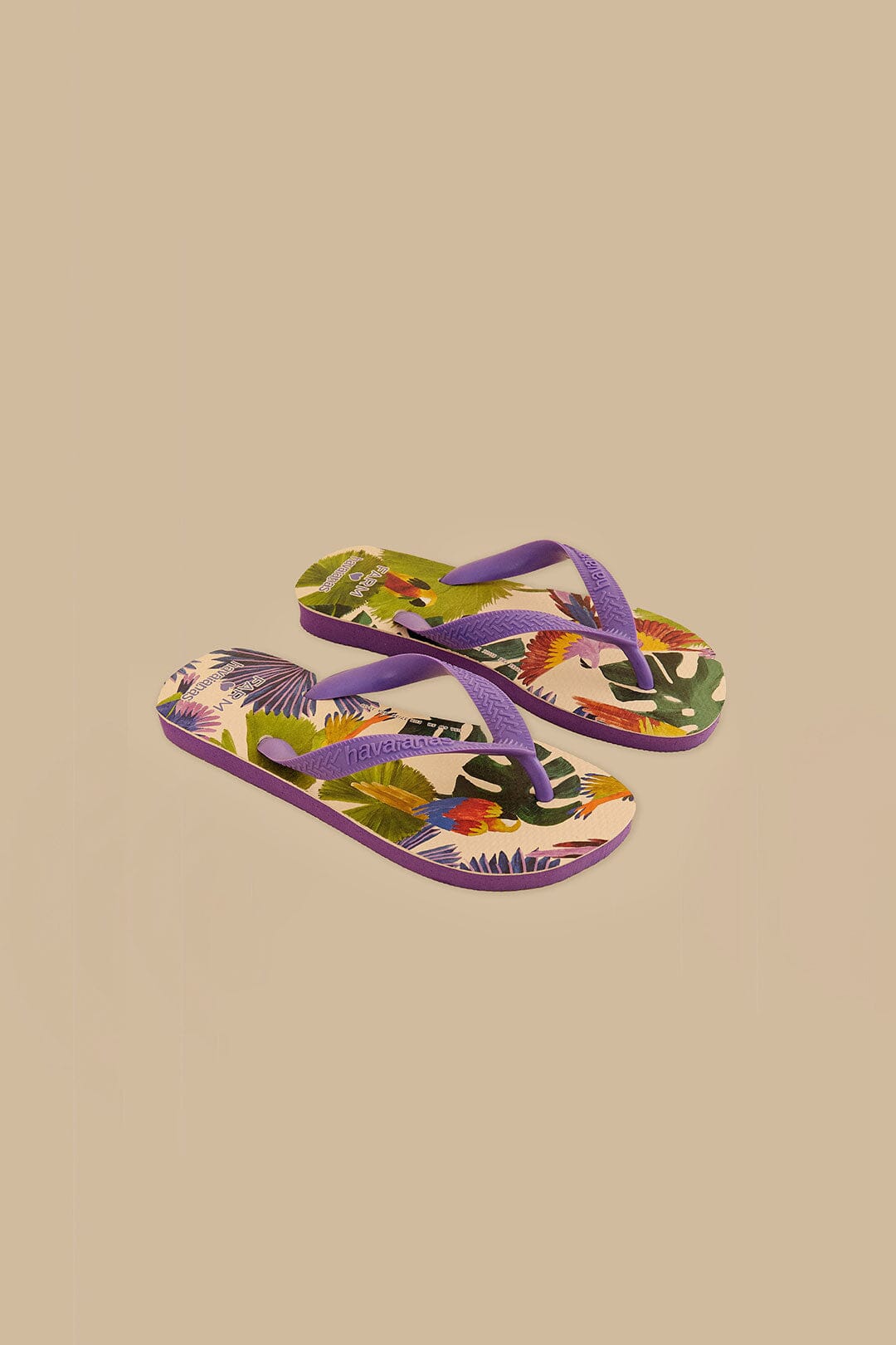 Farm Passaros Pintados Havaianas Sandals