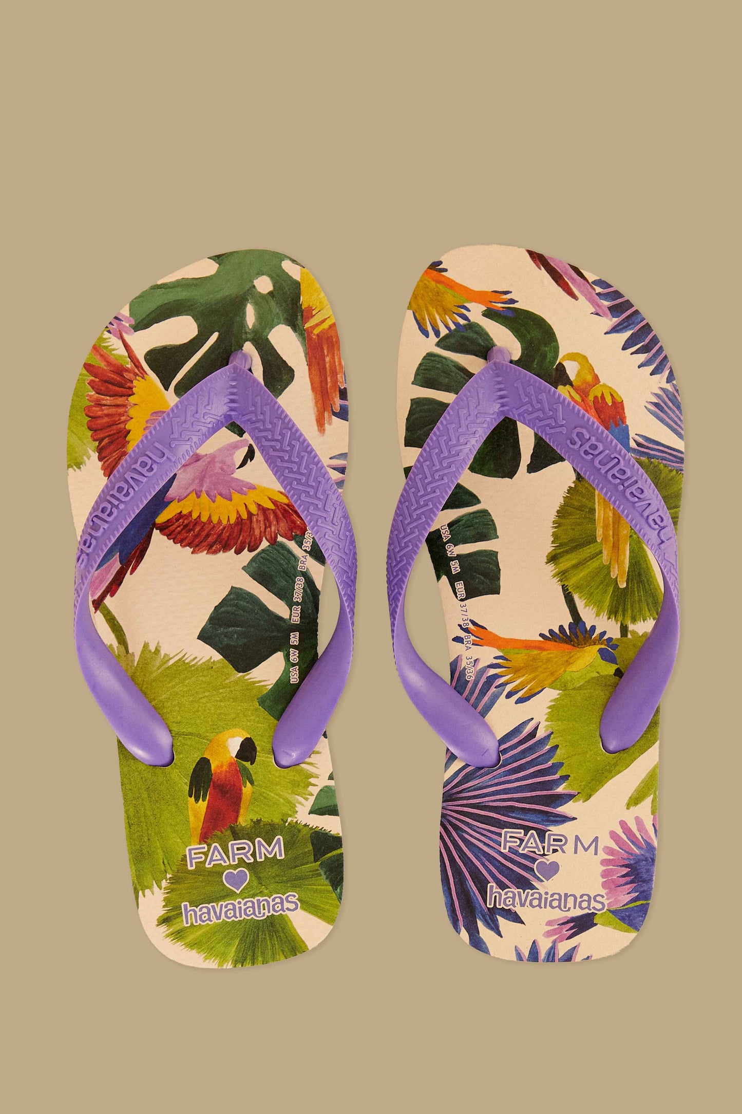 Farm Passaros Pintados Havaianas Sandals