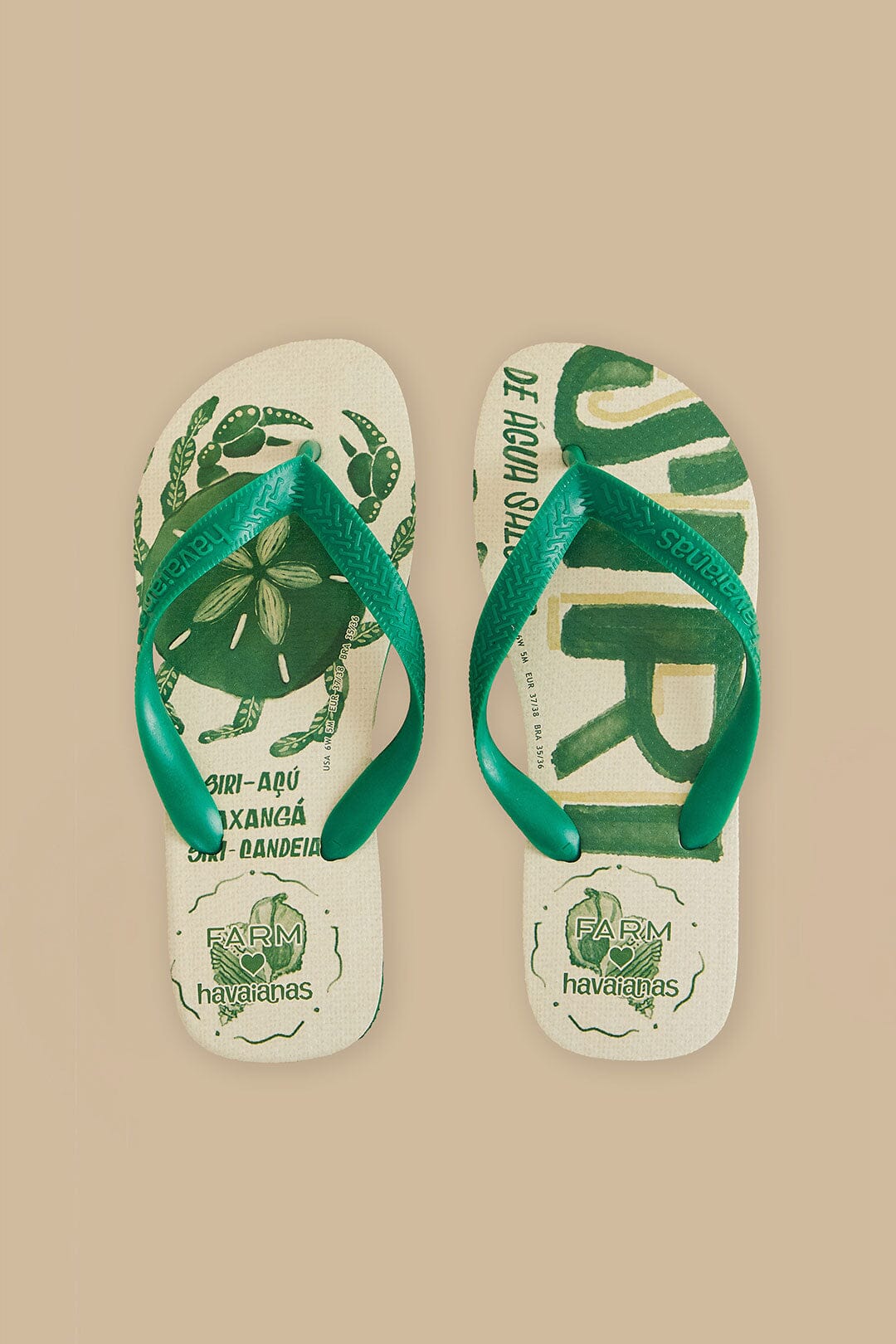 Farm Siri Havaianas Sandals