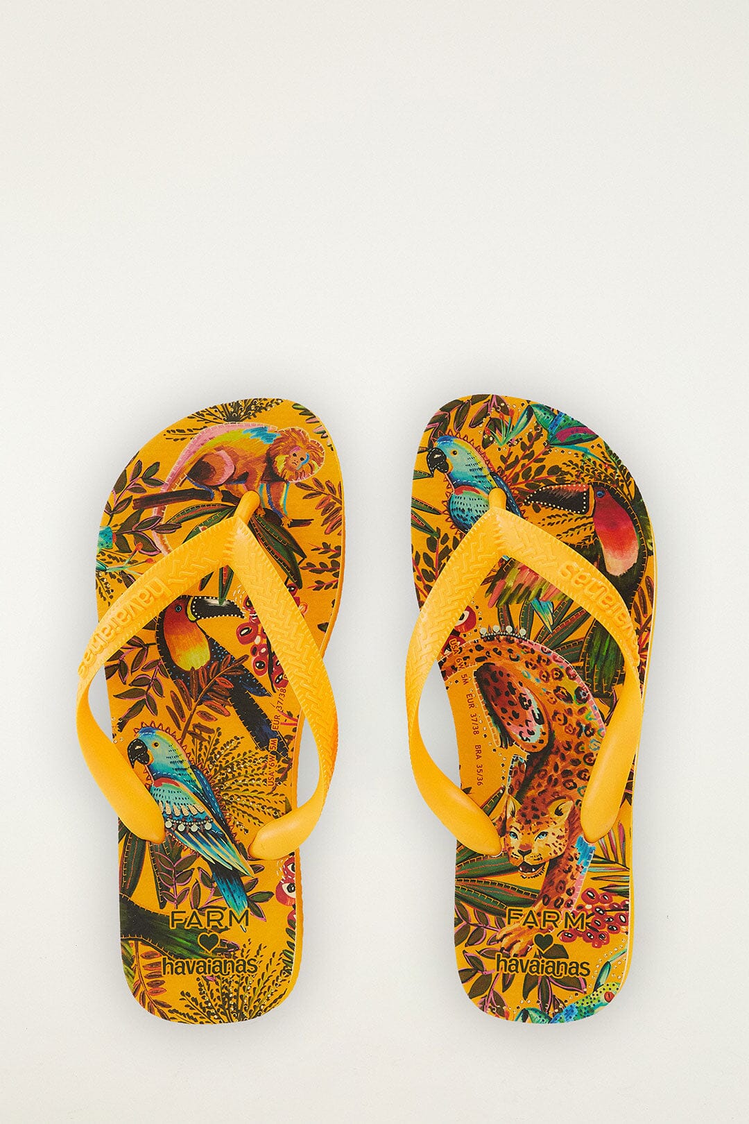 Into The Jungle Havaianas