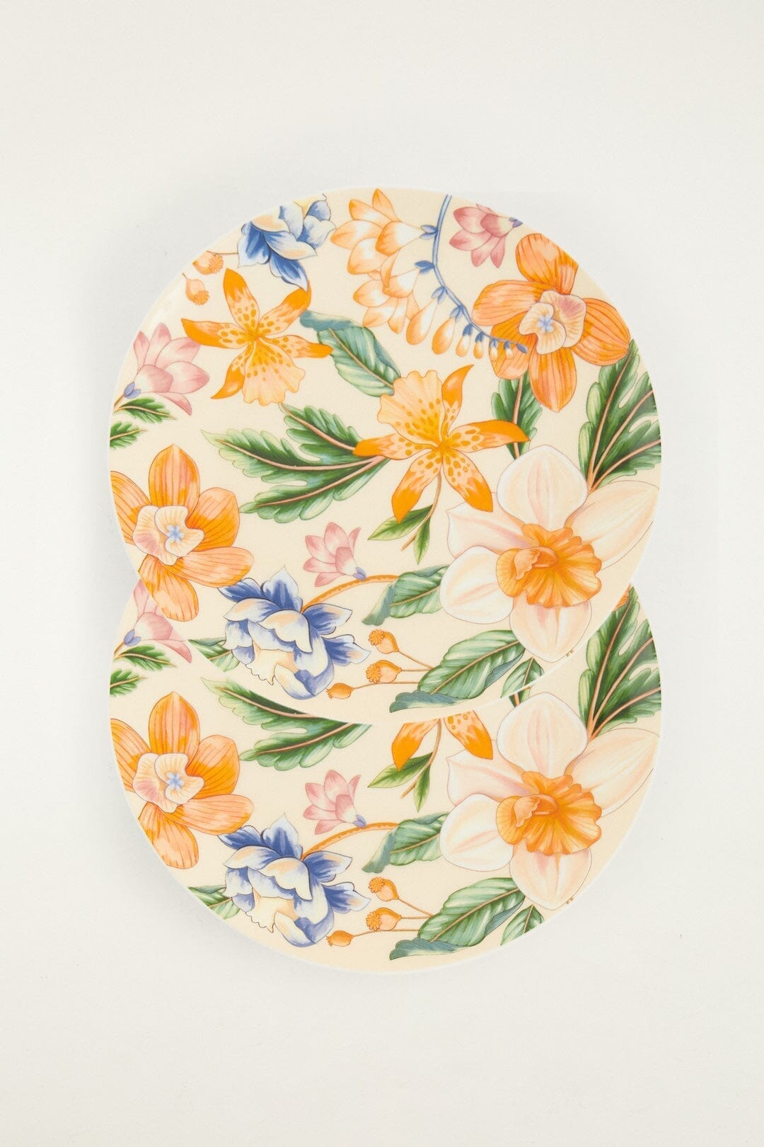 Farm Rio Dinner Plates - Thumbnail 3