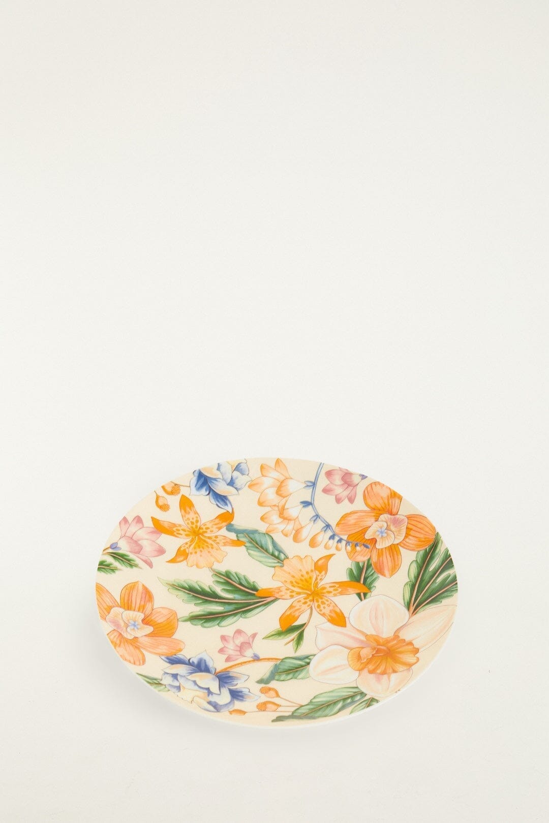 Farm Rio Dinner Plates