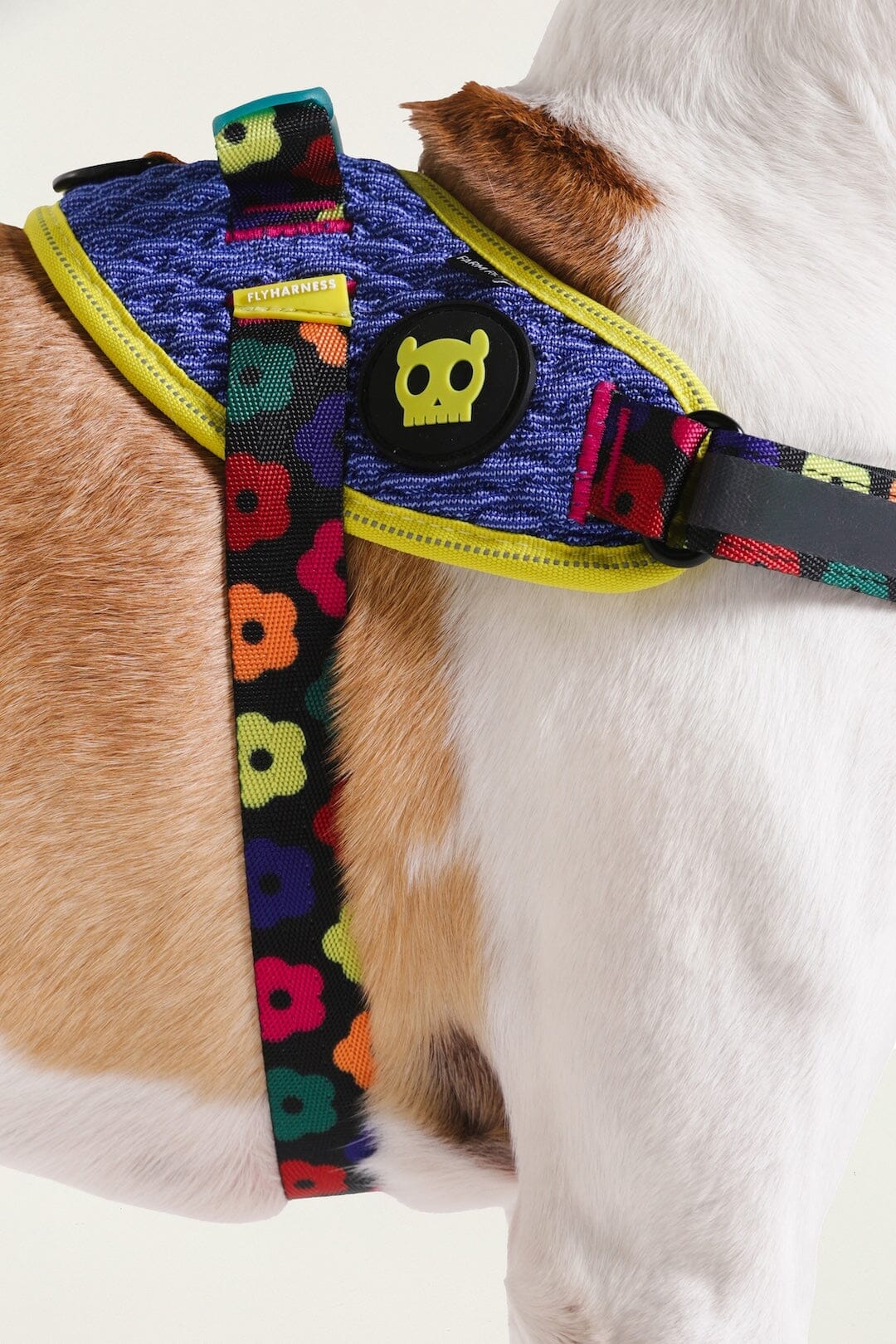 Zeedog Farm Samba Flyharness 3 | FARM Rio