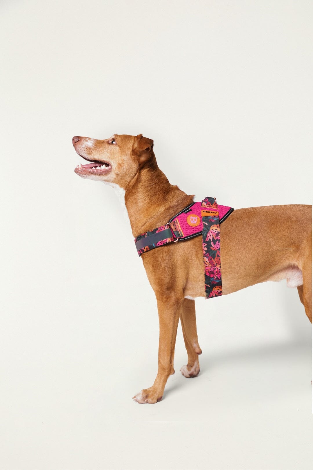Zeedog Farm Onca Flyharness - Size 3
