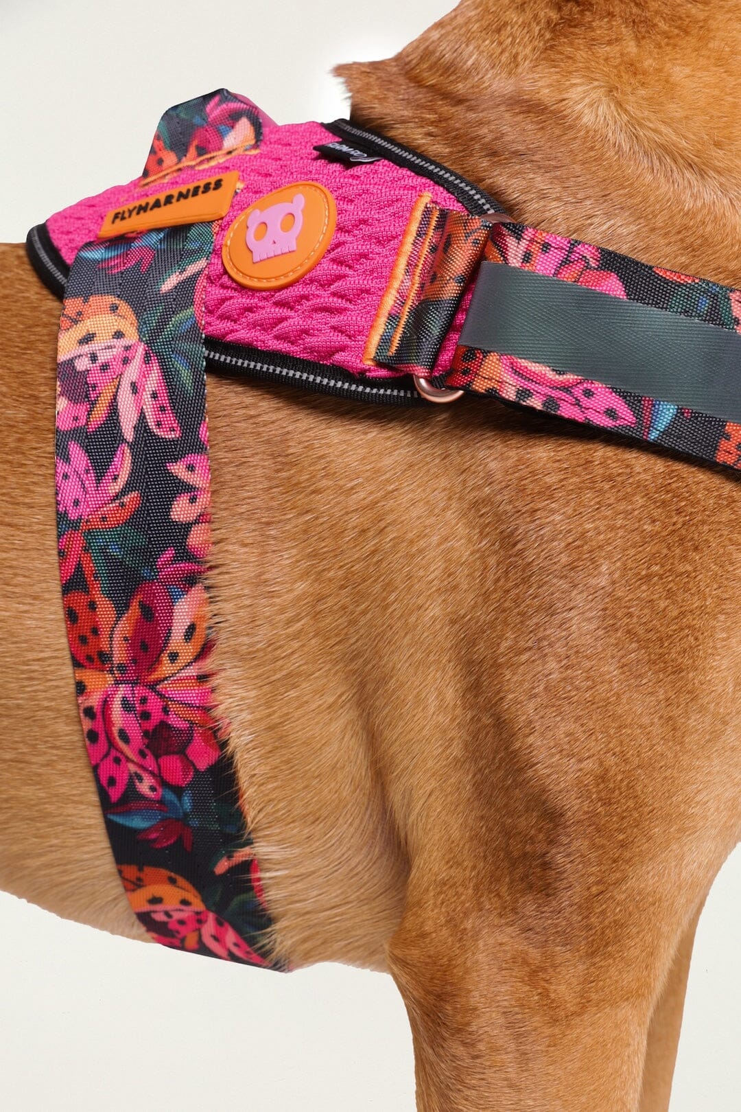 Zeedog Farm Onca Flyharness - Size 3