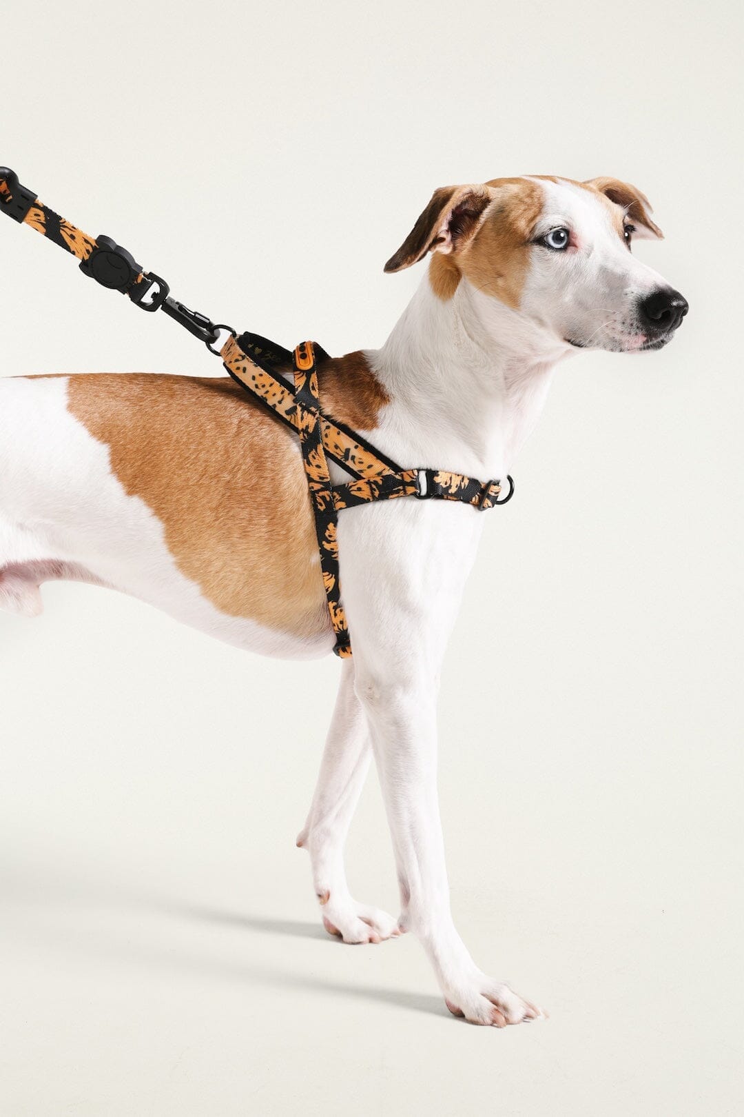 Zeedog Farm Bananas Softer Walk - Size M