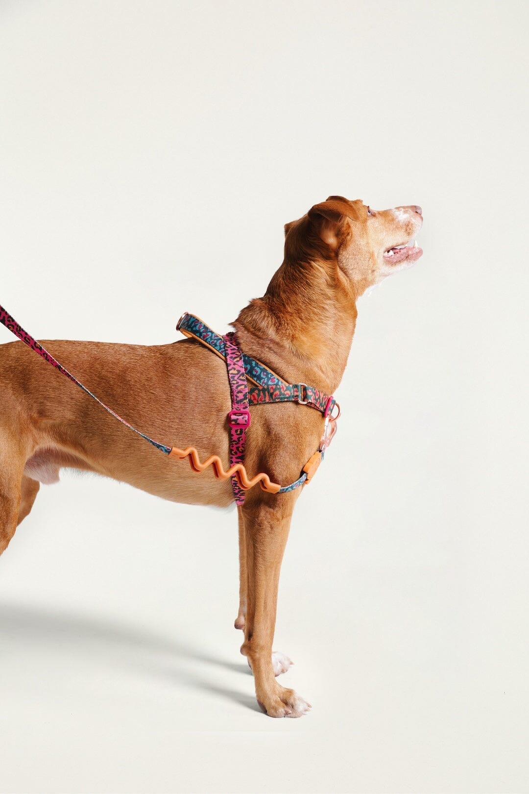 Zeedog Farm Onca Softer Walk - Size M