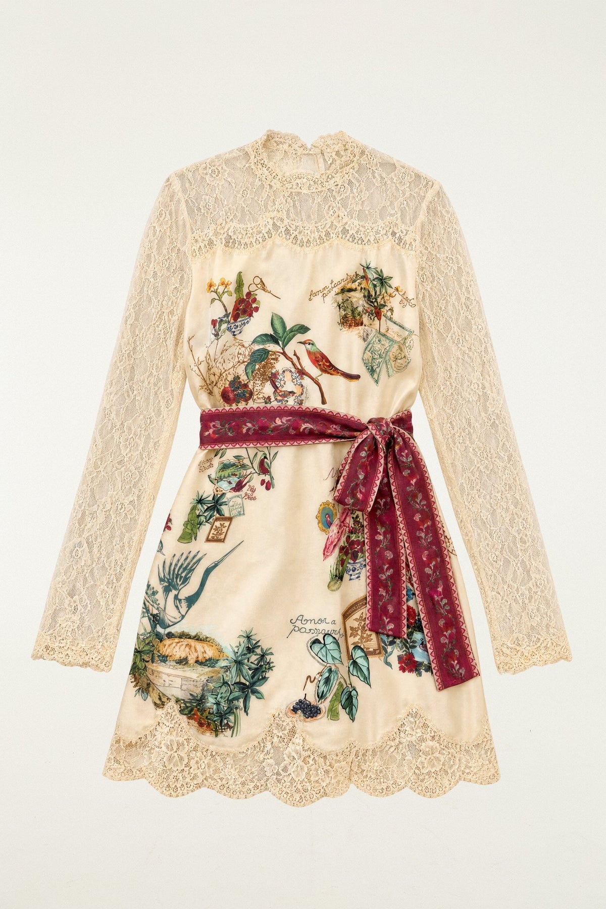 Bird Poetry Lace Long Sleeve Mini Dress