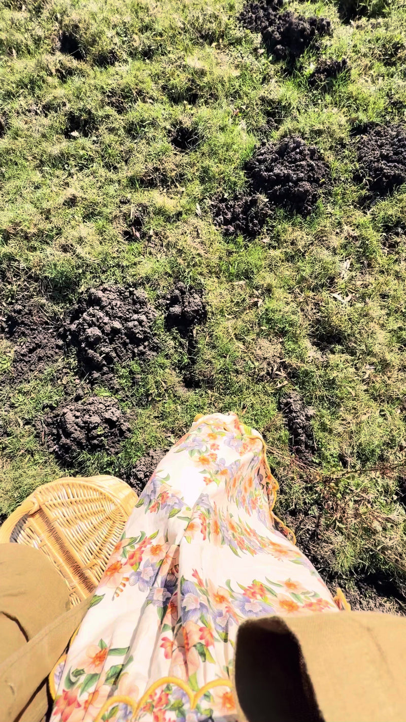 farm rio bicolor stripes organic cotton midi dress Sand Hilo Stripes Lenzing™ Ecovero™ Euroflax™ Midi Dress