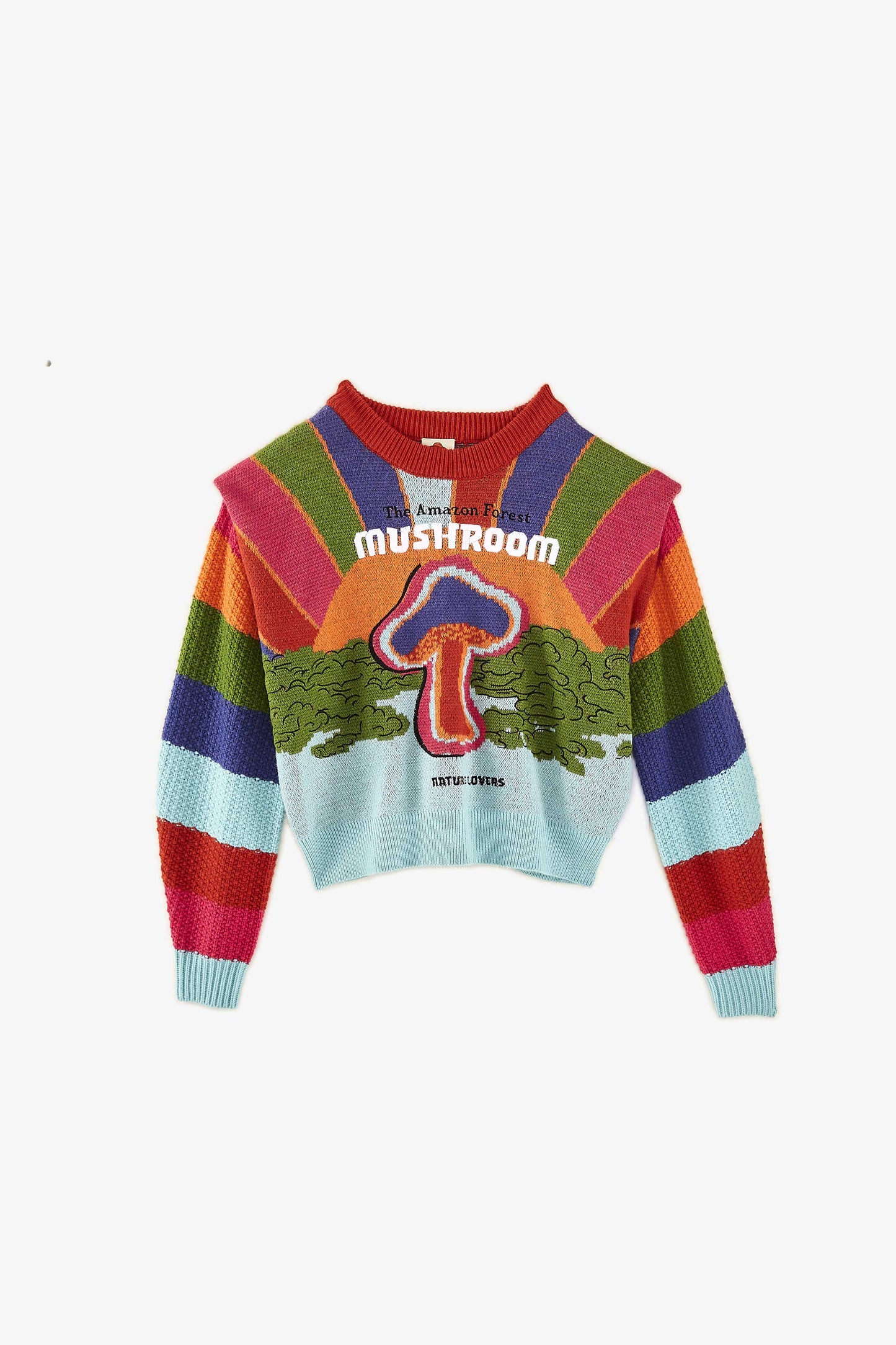 Amazon Mushroom Embroidered Sweater